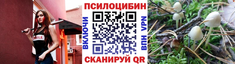 кракен рабочий сайт  маркетплейс наркотические препараты  Галлюциногенные грибы Psilocybine cubensis  Старица 