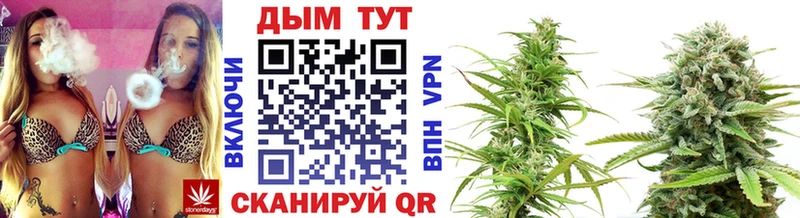 Шишки марихуана Ganja  кракен tor  Старица 